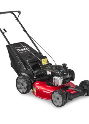 Toro 21 in. Recycler High Wheel Push Gas Lawn Mower