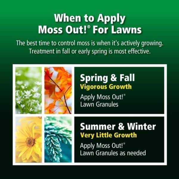 Lilly Miller Moss Out Granules - Image 2