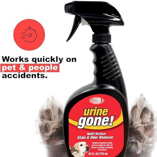 Urine Gone Stain & Odor Eliminator - Image 3