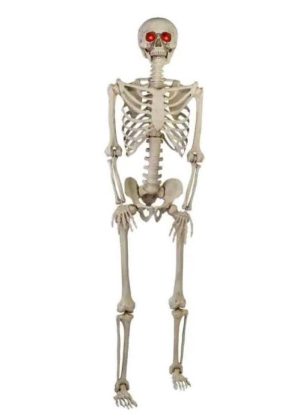 Home Accents Holiday 5 ft. Poseable Skeleton with LED Illumination