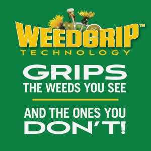 Scotts Turf Builder Weed & Feed Fertilizer - Image 4