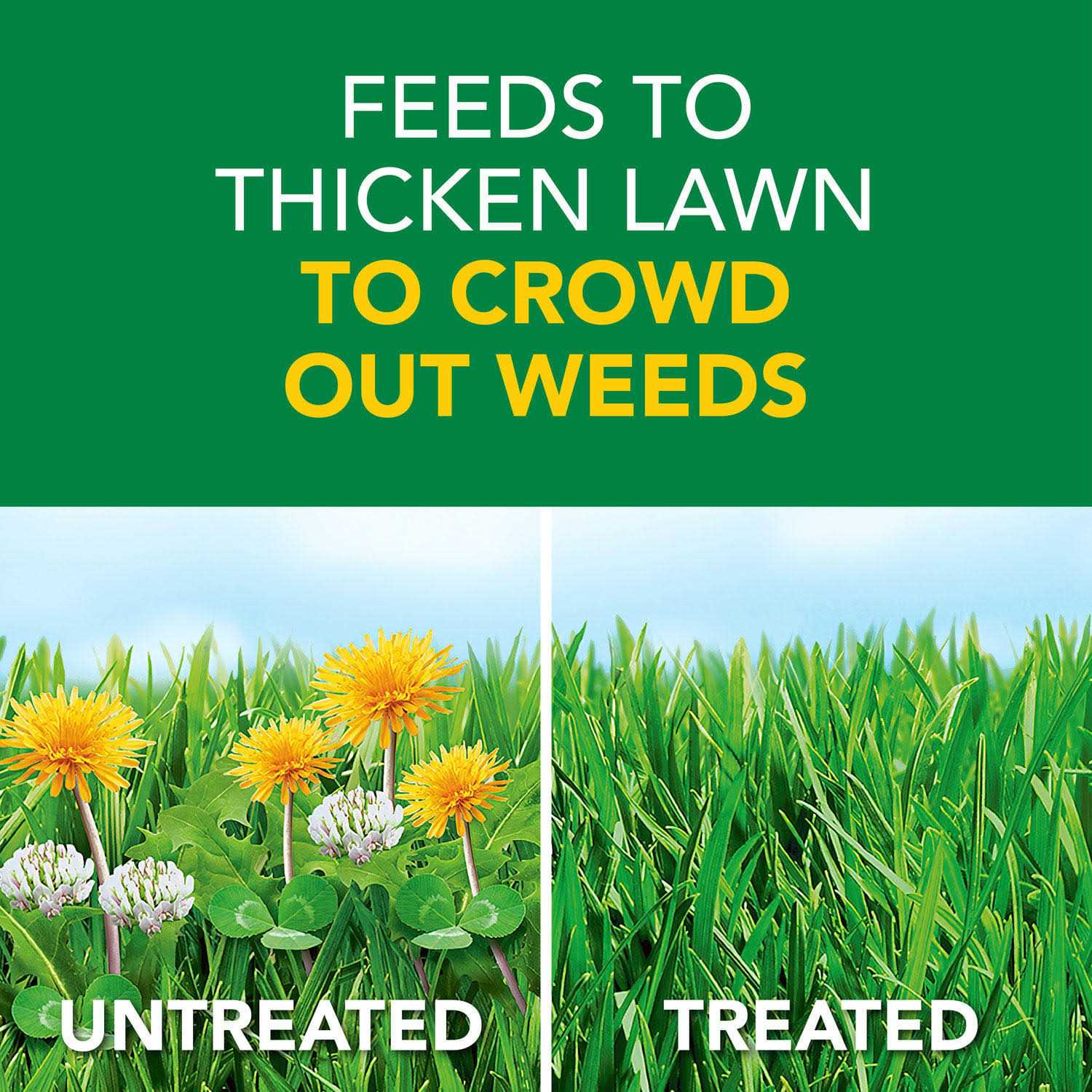 Scotts Turf Builder Weed Feed - Image 3