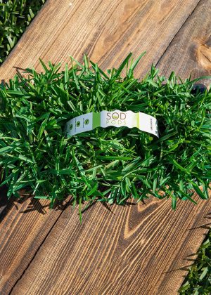 Sod Pods St Augustine Grass Plugs Natural