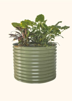 Vego Garden Tall Round Metal Raised Garden Bed