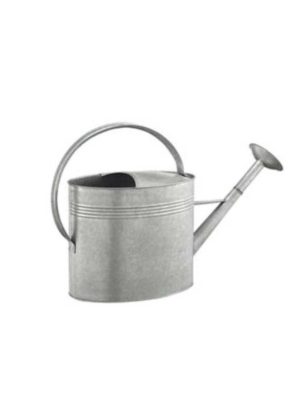 GroundWork 2 gal. Metal Watering Can 1213542
