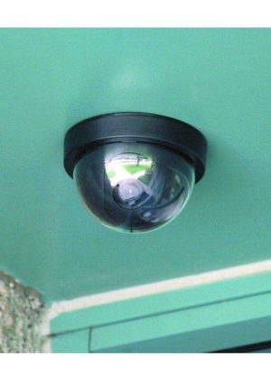 Bunker Hill Security Imitation Dome Security Camera with LED