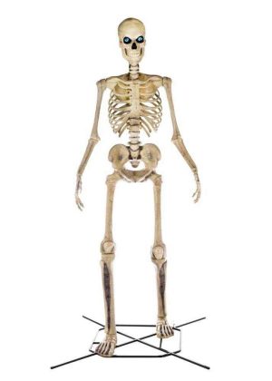 Home Accents Holiday 12 ft Giant-Sized Skeleton with LifeEyes LCD Eyes