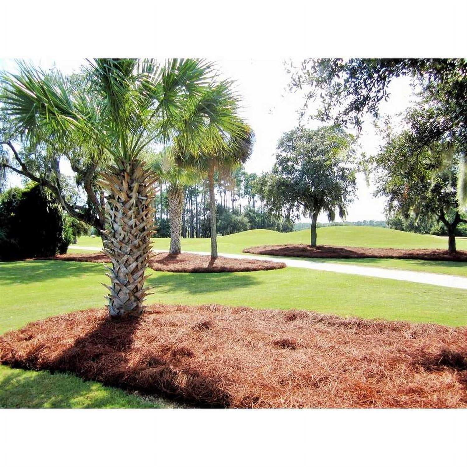CleanStraw Mulch Natural Pine Needles 2.3 cu ft - Image 2