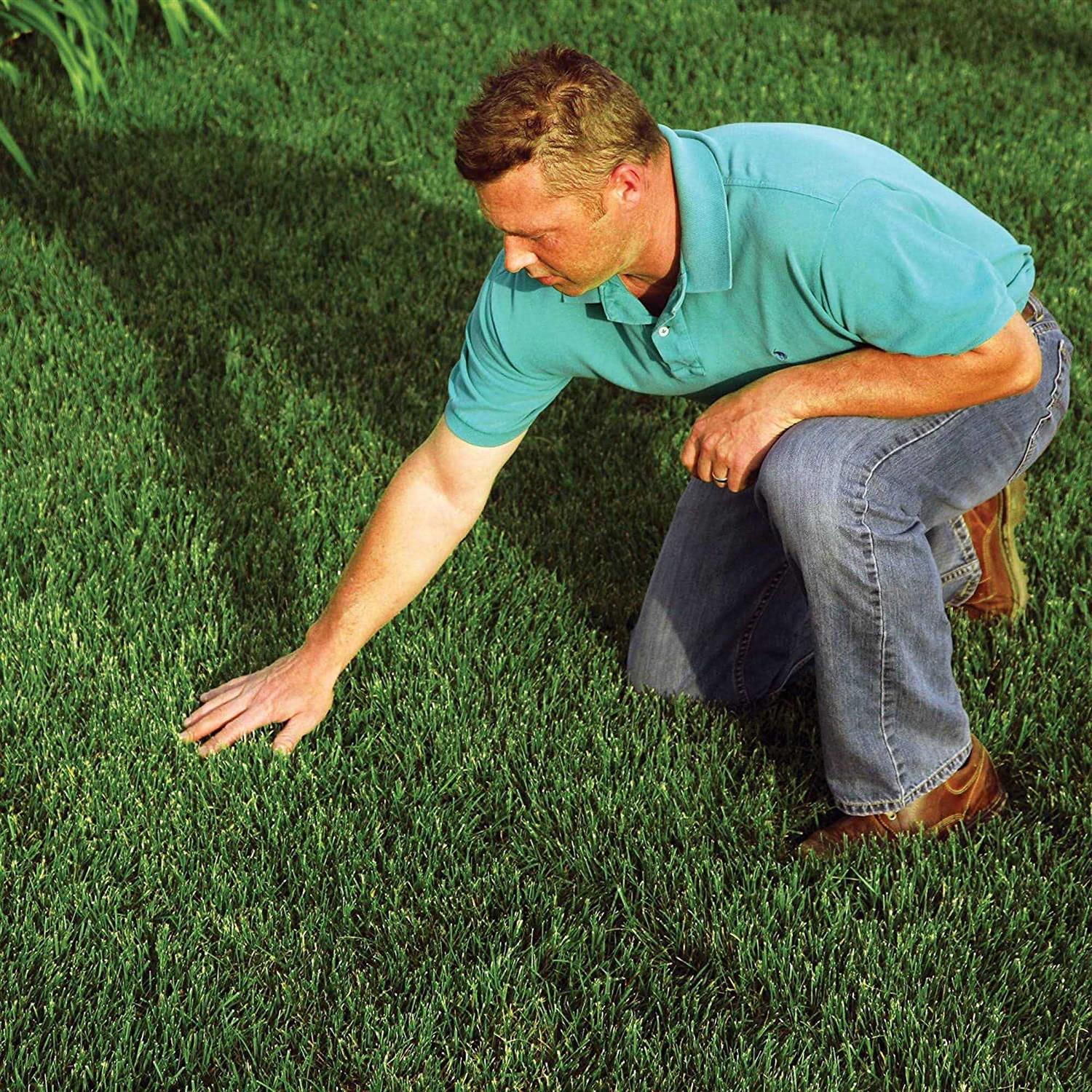 Rhino Seed EZ Erosion Control Straw Blanket - Image 2