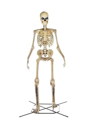 Home Accents Holiday 12 ft Giant-Sized Skeleton with LifeEyes LCD Eyes