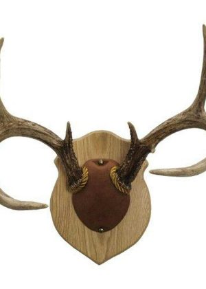 Walnut Hollow Country Solid Oak Antler Mount Kit