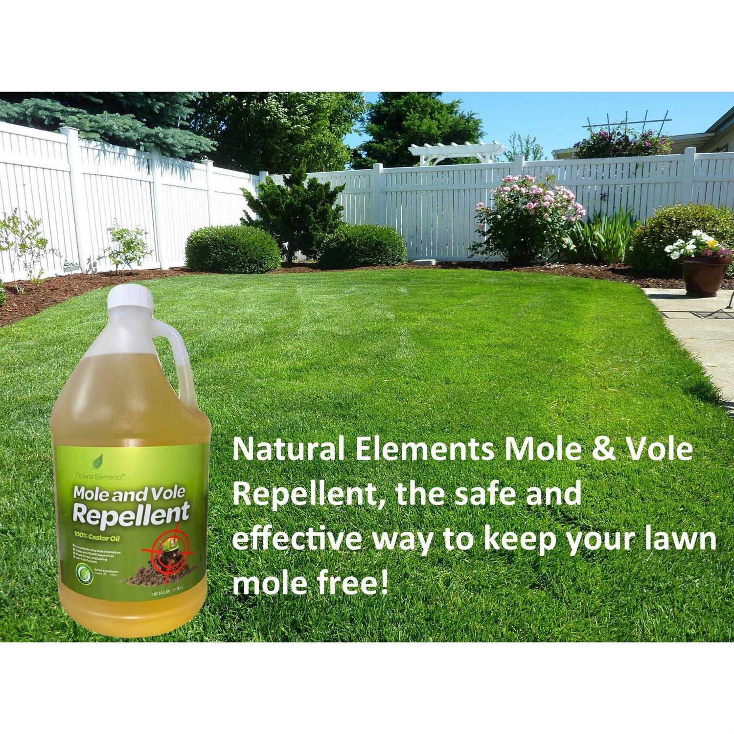 Natural Elements Mole and Vole Repellent 100% castor Oil - Image 2