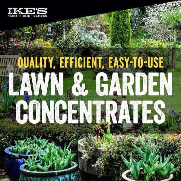Ike’s Sandbur and Crabgrass Preventer - Image 5