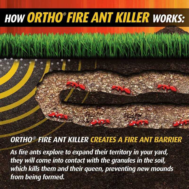 Ortho Fire Ant Killer Broadcast Granules - Image 3